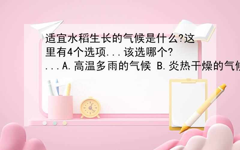 适宜水稻生长的气候是什么?这里有4个选项...该选哪个?...A.高温多雨的气候 B.炎热干燥的气候C.温和多雨的气候 D.寒冷干燥的气候B和D应该不对...那A和C应选哪个?..