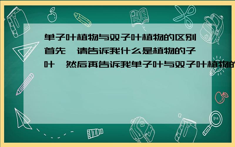 单子叶植物与双子叶植物的区别首先,请告诉我什么是植物的子叶,然后再告诉我单子叶与双子叶植物的区别,哪一种类型比较高等?什么是植物的子叶!还有单子叶植物与双子叶植物的哪一个比