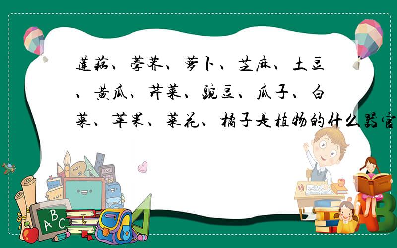 莲藕、荸荠、萝卜、芝麻、土豆、黄瓜、芹菜、豌豆、瓜子、白菜、苹果、菜花、橘子是植物的什么器官