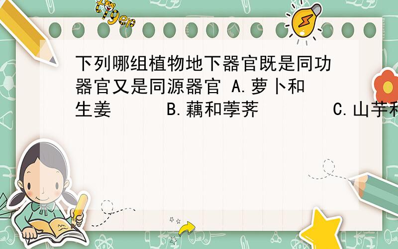 下列哪组植物地下器官既是同功器官又是同源器官 A.萝卜和生姜　　　B.藕和荸荠　　　　C.山芋和马铃薯　下列哪组植物地下器官既是同功器官又是同源器官A.萝卜和生姜　　　B.藕和荸荠