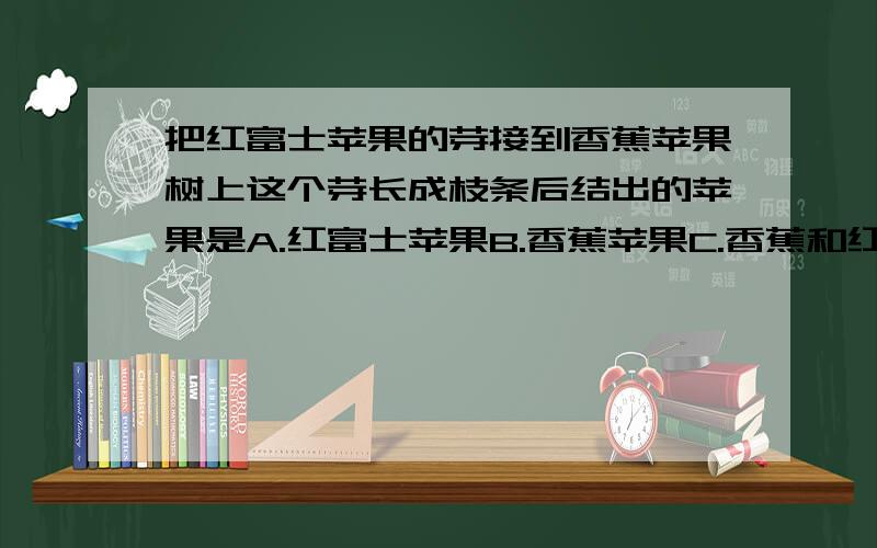 把红富士苹果的芽接到香蕉苹果树上这个芽长成枝条后结出的苹果是A.红富士苹果B.香蕉苹果C.香蕉和红富士的混合味道D.红富士与香蕉两种苹果