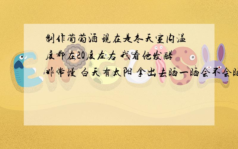 制作葡萄酒 现在是冬天室内温度都在20度左右 我看他发酵非常慢 白天有太阳 拿出去晒一晒会不会晒坏