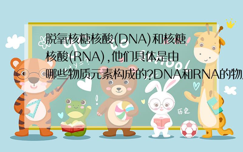 脱氧核糖核酸(DNA)和核糖核酸(RNA),他们具体是由哪些物质元素构成的?DNA和RNA的物质构成中,我现在能了解到的只有氢(H)和炭(C),那么还有其他什么物质一起参与了DNA和RNA的物质构成呢?在其中,是