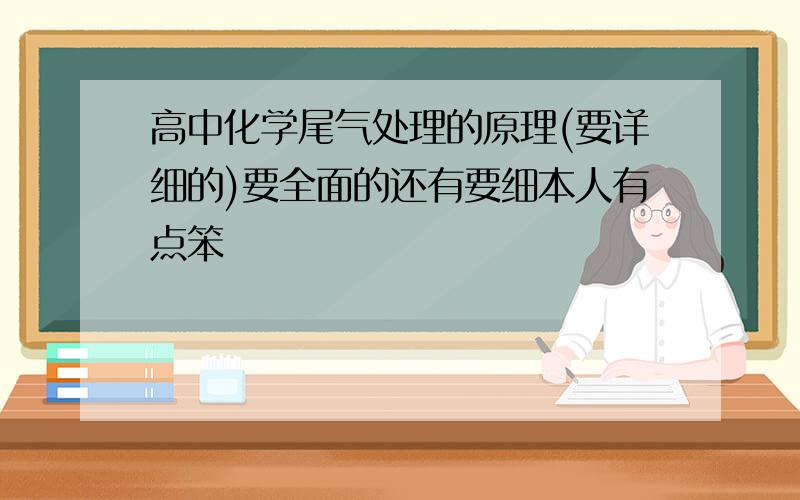 高中化学尾气处理的原理(要详细的)要全面的还有要细本人有点笨