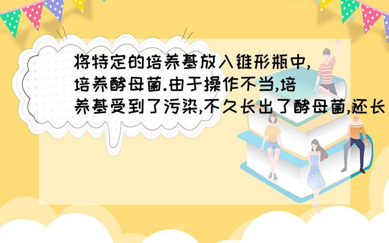 将特定的培养基放入锥形瓶中,培养酵母菌.由于操作不当,培养基受到了污染,不久长出了酵母菌,还长出了细菌和霉菌等微生物.瓶中的一切构成了 （ ）A种群 B群落 C生态系统 如果选C的话,那我