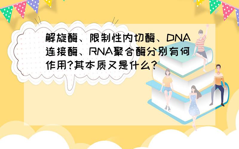 解旋酶、限制性内切酶、DNA连接酶、RNA聚合酶分别有何作用?其本质又是什么?