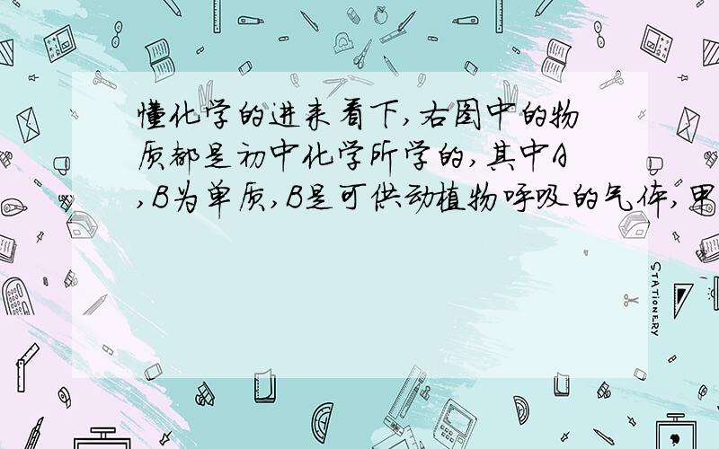 懂化学的进来看下,右图中的物质都是初中化学所学的,其中A,B为单质,B是可供动植物呼吸的气体,甲乙丙为化合物,甲过量的丙乙与过量的丙两两反应的所有产物相同.图中横线表示两端物质之间