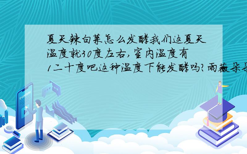 夏天辣白菜怎么发酵我们这夏天温度就30度左右,室内温度有1二十度吧这种温度下能发酵吗?雨薇朵朵 复制那么多无用的干什么,我不要制作方法,我只需要你们回答上面的问题就给分了