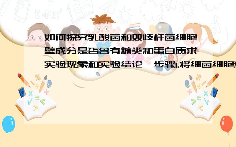 如何探究乳酸菌和双歧杆菌细胞壁成分是否含有糖类和蛋白质求实验现象和实验结论、步骤1.将细菌细胞粉碎后，用高速离心机得到细菌细胞壁。2.将细菌细胞壁分成两等分，编号为A/ B