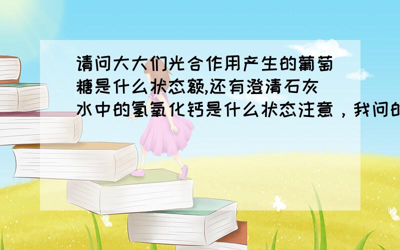 请问大大们光合作用产生的葡萄糖是什么状态额,还有澄清石灰水中的氢氧化钙是什么状态注意，我问的状态是固体，液体，还是气体