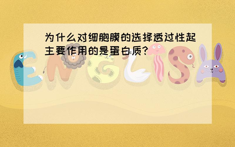 为什么对细胞膜的选择透过性起主要作用的是蛋白质?