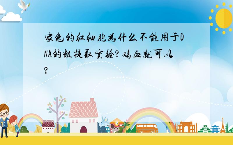 家兔的红细胞为什么不能用于DNA的粗提取实验?鸡血就可以?