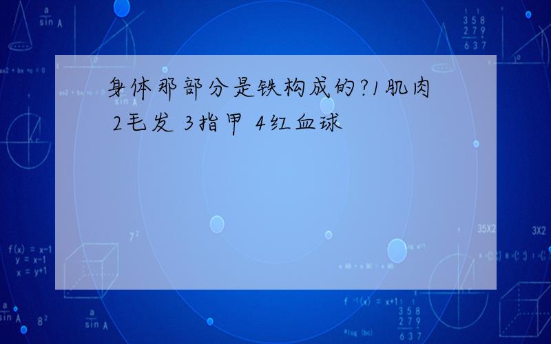 身体那部分是铁构成的?1肌肉 2毛发 3指甲 4红血球