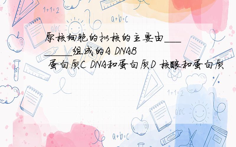 原核细胞的拟核的主要由________组成的A DNAB 蛋白质C DNA和蛋白质D 核酸和蛋白质