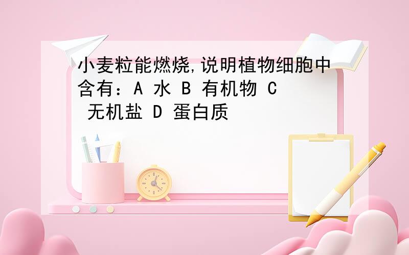 小麦粒能燃烧,说明植物细胞中含有：A 水 B 有机物 C 无机盐 D 蛋白质