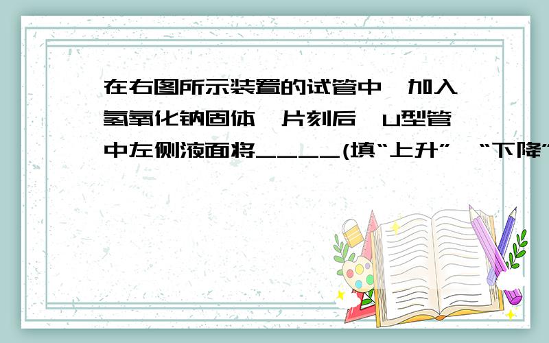 在右图所示装置的试管中,加入氢氧化钠固体,片刻后,U型管中左侧液面将____(填“上升”、“下降”或“不变”),产生这一现象的原因是_______________________________.若用______代替氢氧化钠固体,U型