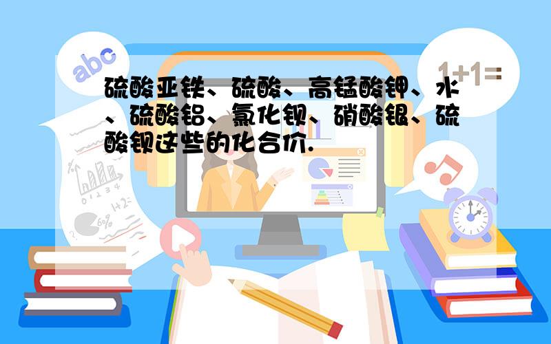 硫酸亚铁、硫酸、高锰酸钾、水、硫酸铝、氯化钡、硝酸银、硫酸钡这些的化合价.