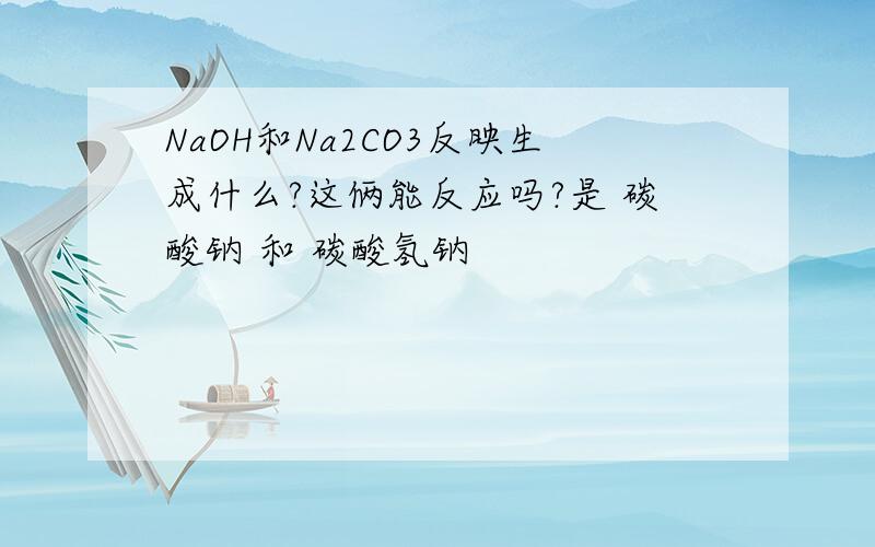 NaOH和Na2CO3反映生成什么?这俩能反应吗?是 碳酸钠 和 碳酸氢钠