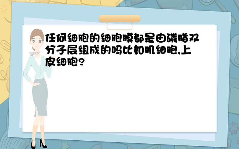 任何细胞的细胞膜都是由磷脂双分子层组成的吗比如肌细胞,上皮细胞?