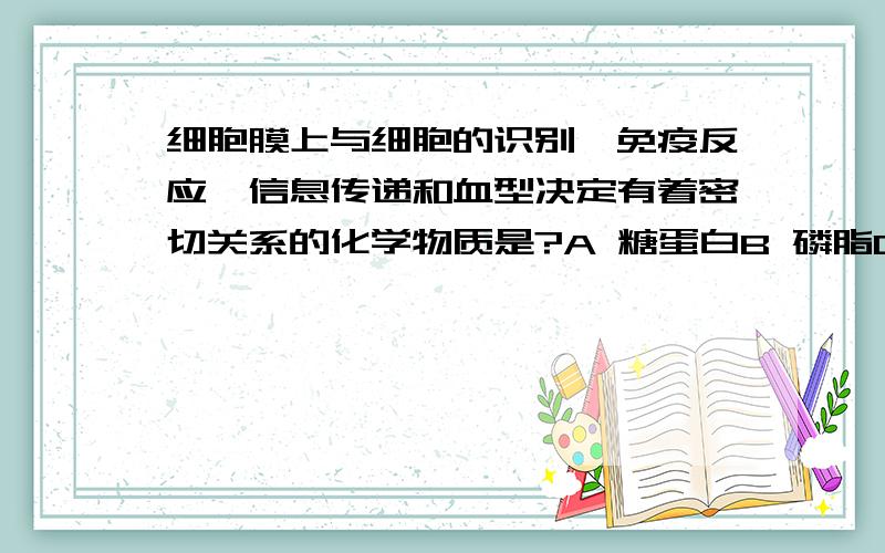 细胞膜上与细胞的识别,免疫反应,信息传递和血型决定有着密切关系的化学物质是?A 糖蛋白B 磷脂C 脂肪D 核酸