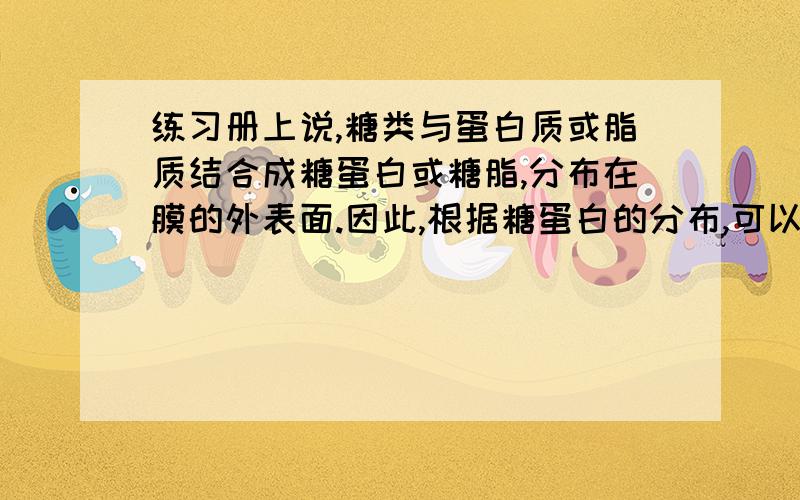 练习册上说,糖类与蛋白质或脂质结合成糖蛋白或糖脂,分布在膜的外表面.因此,根据糖蛋白的分布,可以判断细胞膜的内外侧,那么可以根据糖脂的分布来判断细胞膜的内外侧吗?练习册上没有说