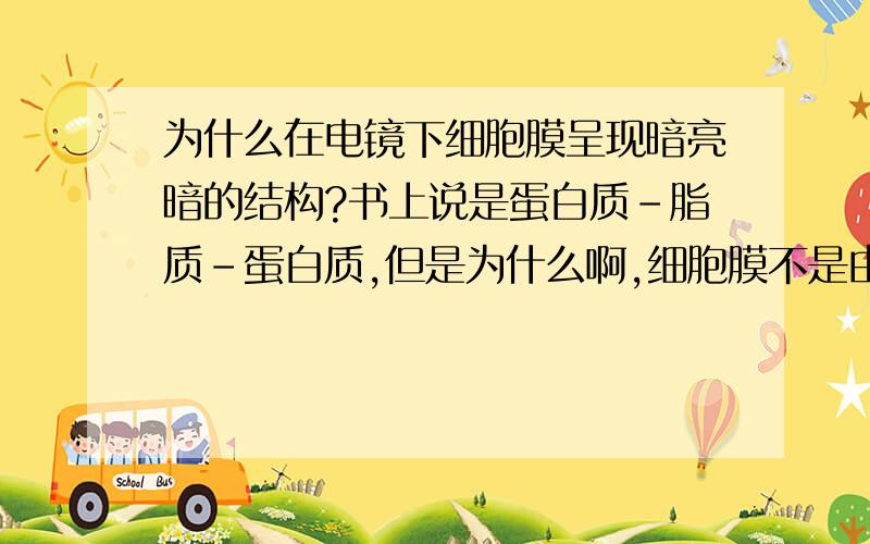 为什么在电镜下细胞膜呈现暗亮暗的结构?书上说是蛋白质-脂质-蛋白质,但是为什么啊,细胞膜不是由磷脂双分子层构成的吗,根据书上的图,那磷脂双分子层中的磷脂分子在上下两侧,而中间是