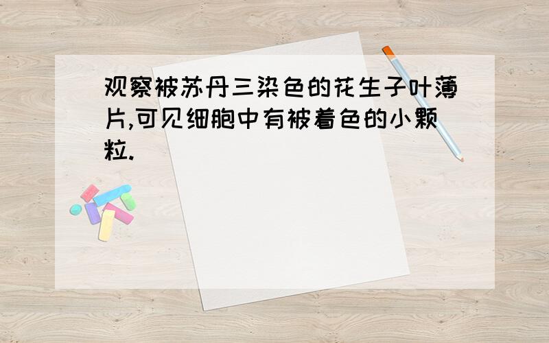 观察被苏丹三染色的花生子叶薄片,可见细胞中有被着色的小颗粒.