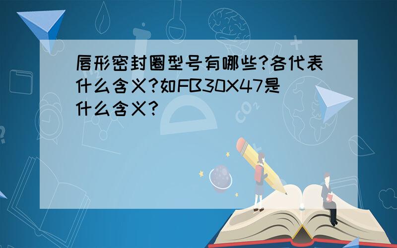 唇形密封圈型号有哪些?各代表什么含义?如FB30X47是什么含义?