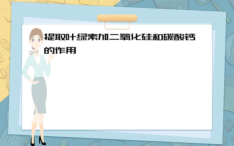 提取叶绿素加二氧化硅和碳酸钙的作用