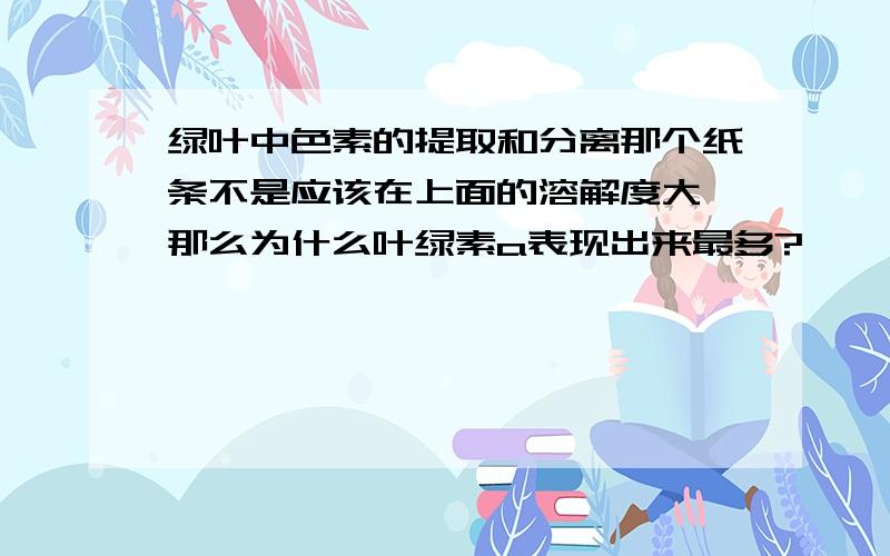 绿叶中色素的提取和分离那个纸条不是应该在上面的溶解度大,那么为什么叶绿素a表现出来最多?