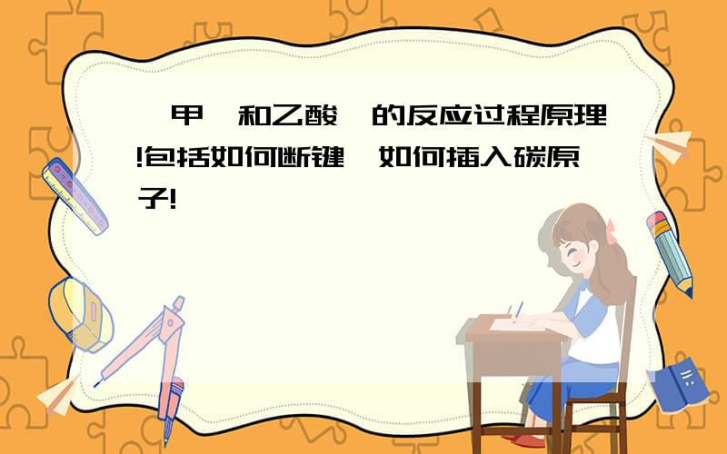 苯甲醛和乙酸酐的反应过程原理!包括如何断键,如何插入碳原子!