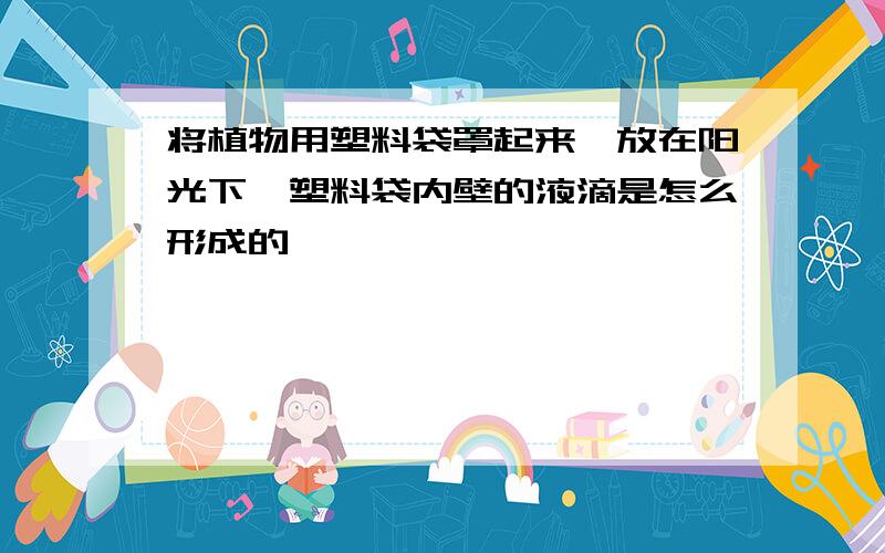 将植物用塑料袋罩起来,放在阳光下,塑料袋内壁的液滴是怎么形成的