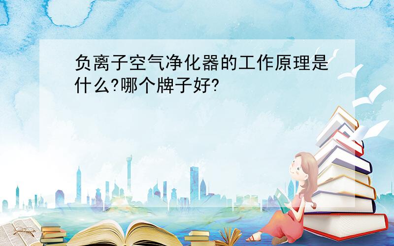 负离子空气净化器的工作原理是什么?哪个牌子好?