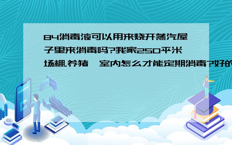 84消毒液可以用来烧开蒸汽屋子里来消毒吗?我家250平米场棚.养猪,室内怎么才能定期消毒?好的办法?比如煮沸什么的蒸气,或是燃烧什么的烟雾,才能让这室内完全的消毒?我要定期做的!