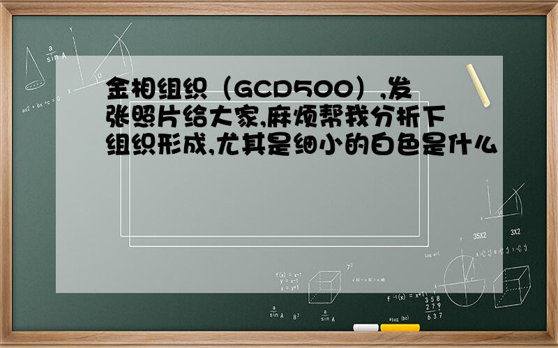 金相组织（GCD500）,发张照片给大家,麻烦帮我分析下组织形成,尤其是细小的白色是什么