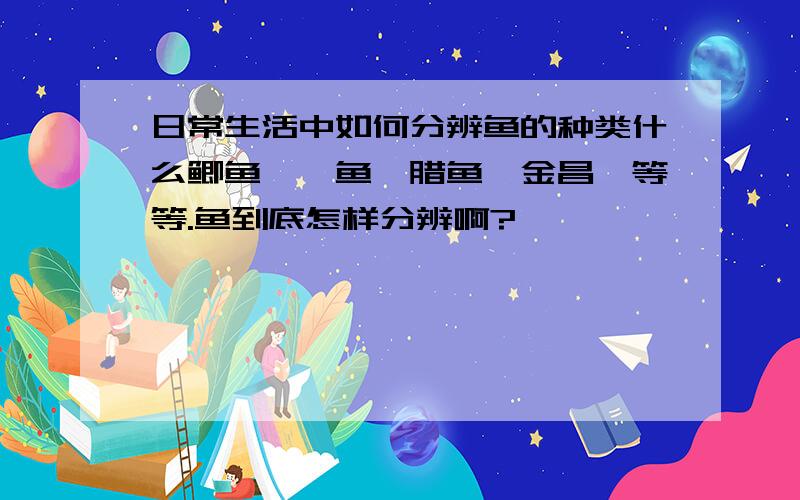 日常生活中如何分辨鱼的种类什么鲫鱼,鲈鱼,腊鱼,金昌,等等.鱼到底怎样分辨啊?