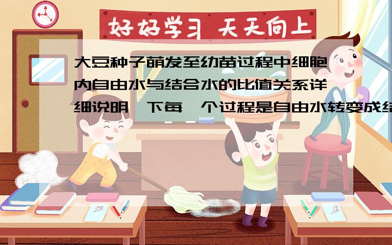 大豆种子萌发至幼苗过程中细胞内自由水与结合水的比值关系详细说明一下每一个过程是自由水转变成结合水还是结合水转变成自由水 以及比值的变化