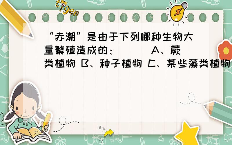 “赤潮”是由于下列哪种生物大量繁殖造成的：（ ） A、蕨类植物 B、种子植物 C、某些藻类植物 D、苔藓植物请说出为什么