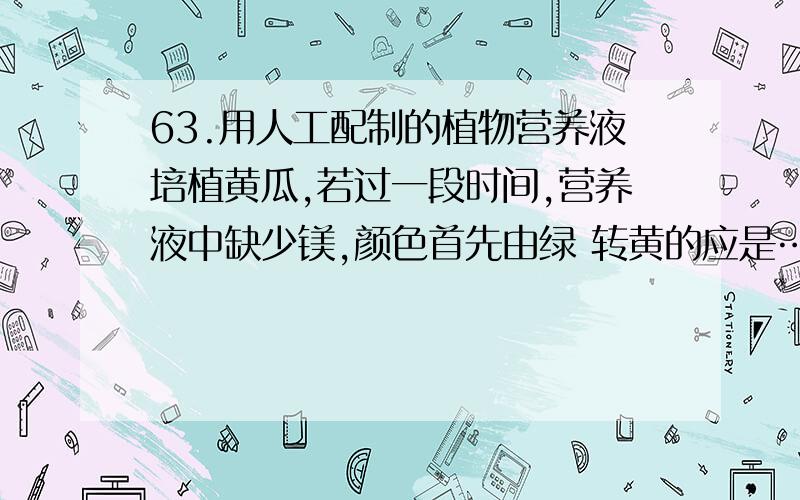 63.用人工配制的植物营养液培植黄瓜,若过一段时间,营养液中缺少镁,颜色首先由绿 转黄的应是……………………………………………………………………………（ ）A.茎尖 B.新生叶 C.植株中