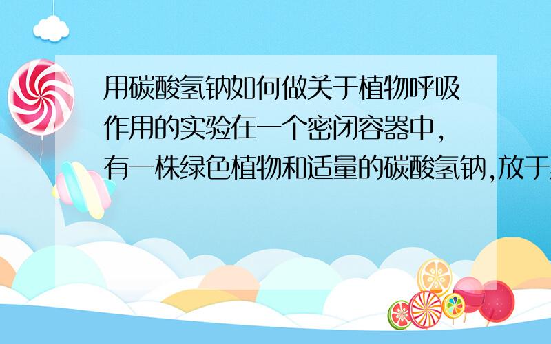 用碳酸氢钠如何做关于植物呼吸作用的实验在一个密闭容器中,有一株绿色植物和适量的碳酸氢钠,放于黑暗条件下,问能否测植物的呼吸作用强度?