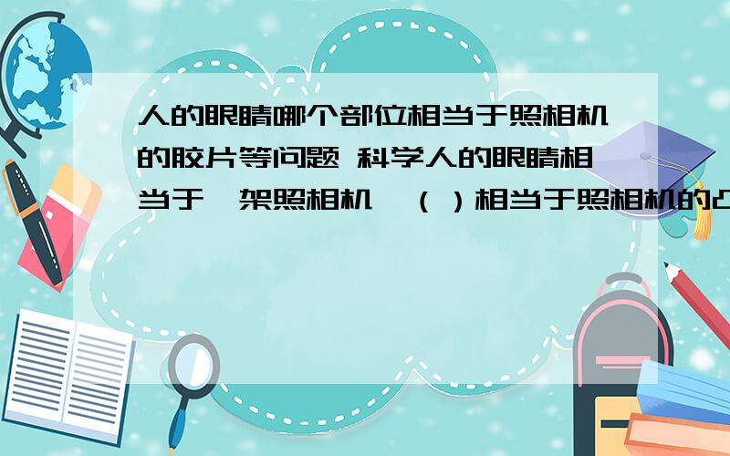 人的眼睛哪个部位相当于照相机的胶片等问题 科学人的眼睛相当于一架照相机,（）相当于照相机的凸透镜,（）相当于照相机的胶片,物体在（）上形成清晰,倒立的实像.老花眼镜是（）镜,它