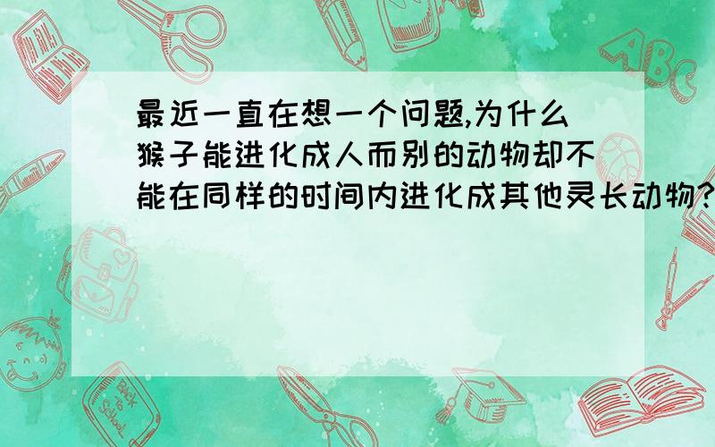 最近一直在想一个问题,为什么猴子能进化成人而别的动物却不能在同样的时间内进化成其他灵长动物?为什么猴子能进化成人而别的动物却不能在同样的时间进化成类似人的生物（指智慧等