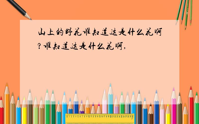 山上的野花谁知道这是什么花啊?谁知道这是什么花啊,