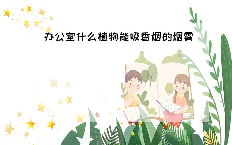 办公室什么植物能吸香烟的烟雾