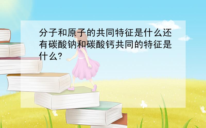 分子和原子的共同特征是什么还有碳酸钠和碳酸钙共同的特征是什么?