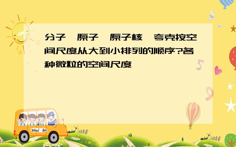 分子、原子、原子核,夸克按空间尺度从大到小排列的顺序?各种微粒的空间尺度