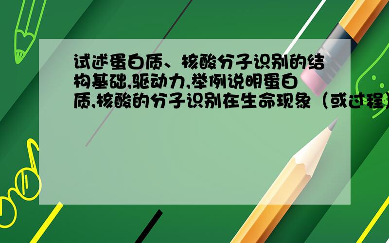 试述蛋白质、核酸分子识别的结构基础,驱动力,举例说明蛋白质,核酸的分子识别在生命现象（或过程）与药物设计中的意义快到时间了，有没有人帮助一下