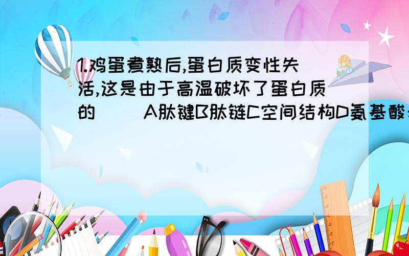 1.鸡蛋煮熟后,蛋白质变性失活,这是由于高温破坏了蛋白质的( )A肽键B肽链C空间结构D氨基酸希望能得到您的解释