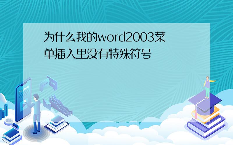 为什么我的word2003菜单插入里没有特殊符号