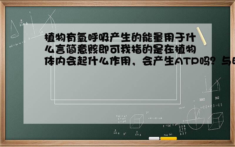 植物有氧呼吸产生的能量用于什么言简意赅即可我指的是在植物体内会起什么作用，会产生ATP吗？与暗反应阶段完成后ATP的合成有关吗？